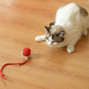 Brinquedo CrazyBall